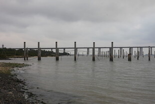 湛江海边长桥 云雾下的静谧景致