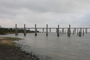 湛江水上长桥横跨静谧水面