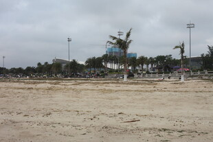 空旷沙滩上的棕榈树与游乐设施