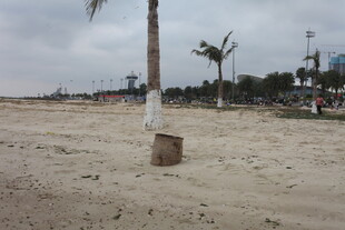 湛江沙滩上的木桩与远处风景