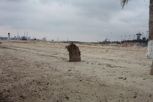 湛江空旷沙地中的孤立物体