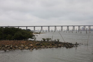 湛江海上大桥远景