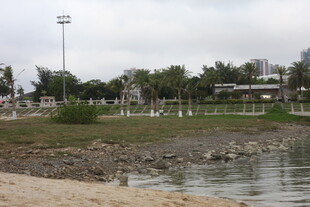 湛江湖畔风光 岸边绿植与水域