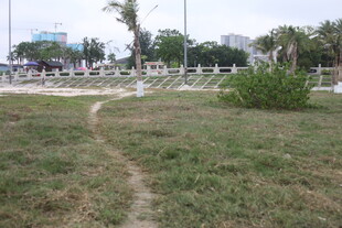 湛江户外草地中的蜿蜒小径