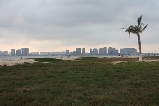 湛江海边草地与城市天际线景观