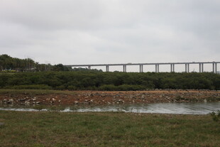 湛江田野上的高架桥景观