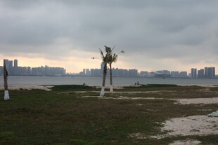 湛江海滨城市风光远眺