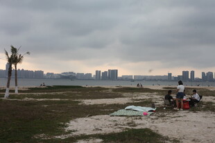 湛江海边露营场景