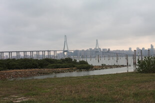 湛江城市桥梁远景景观