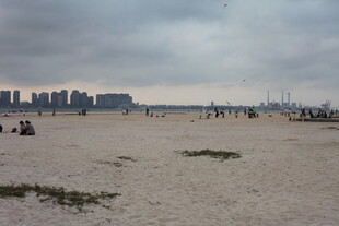 湛江城市边的开阔沙滩场景
