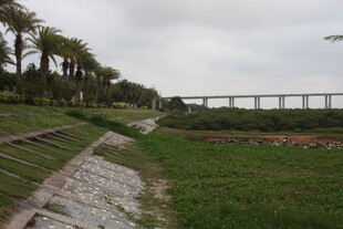 湛江田园风光中的蜿蜒小路