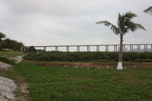 湛江田野旁的高架桥景观