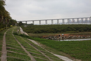 湛江田野旁的高架桥