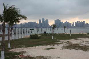 湛江海滨城市与沙滩旁的棕榈树