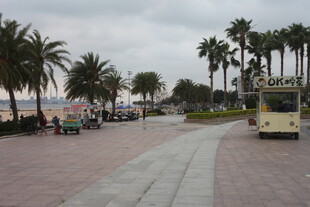湛江海滨步道的观光车与风景