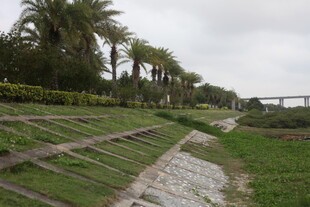 湛江田园风光中的绿植与步道