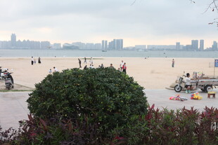 湛江江边城市景观与绿植点缀