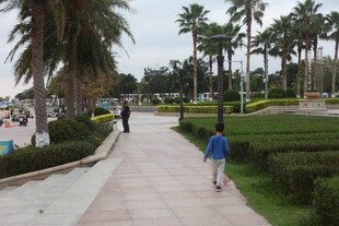 湛江公园中小孩漫步的惬意景象