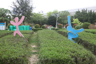 湛江多彩海星造型点缀绿植园