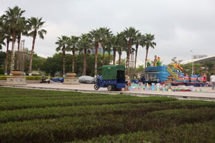 湛江户外休闲场地与棕榈树景观