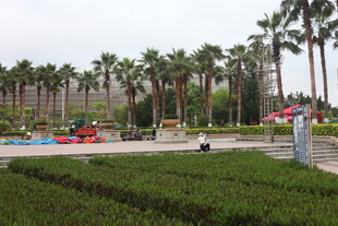 湛江户外休闲广场景观