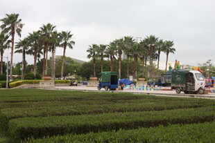 湛江户外停车场与绿植景观