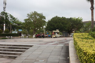 湛江城市广场街边绿植景观