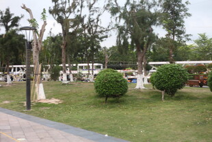 湛江户外绿树环绕的休闲场景