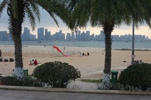 湛江海滨城市沙滩与棕榈树景观