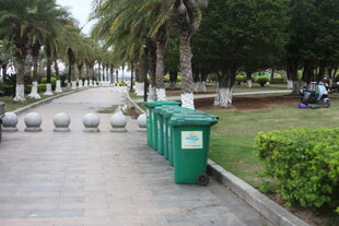 湛江公园步道旁的绿色垃圾桶