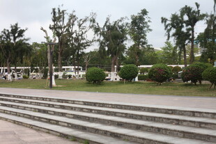 湛江户外阶梯旁的绿树景观