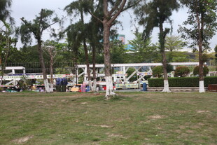 湛江户外草坪上的休闲活动场景