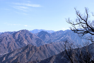 山峦远景与枝头枯树