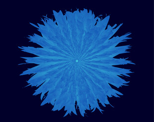 蓝色放射状花朵图案