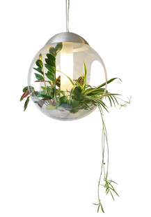 悬挂式玻璃球绿植景观