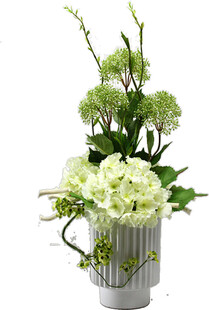 银瓶中的清新绿植花卉