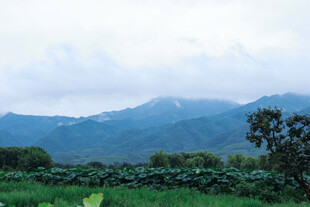 青山绿野间的自然景致
