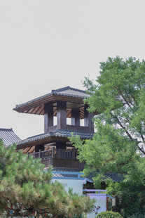 绿树环绕之景