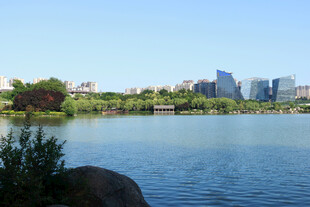 湖畔城市风光美景