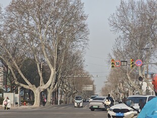 冬日城市街道行车景象