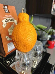 独特造型的橙色摆件