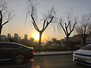 夕阳下路边的车辆与树木