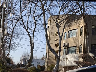 冬日街边的建筑与树木