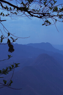 山间暮色 枝头新绿初绽