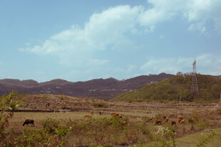 草原风光 远处山峦与天空