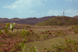 山野风光 自然景致