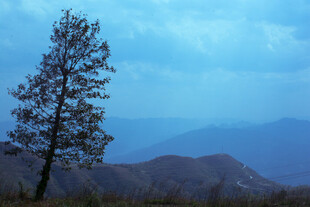 孤树矗立在远山蓝天下