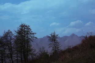 山间暮色中的树木与远山