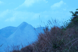 山间景象 远峰与近草