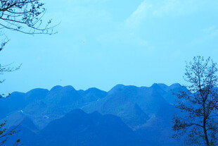 远山蓝天旁的稀疏树木